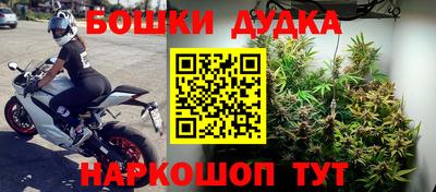 ПСИЛОЦИБИНОВЫЕ ГРИБЫ Кулебаки