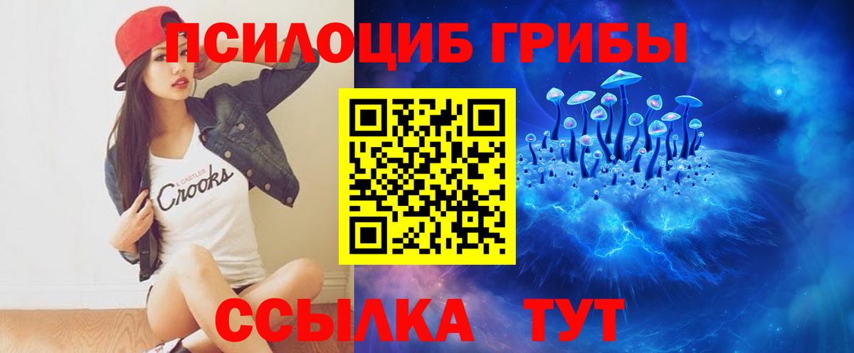 Псилоцибиновые грибы прущие грибы Йошкар-Ола