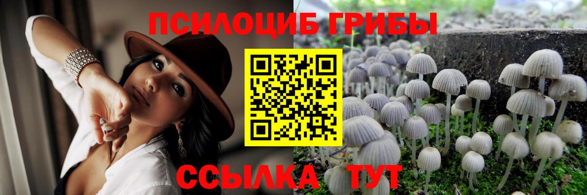 Йошкар-Ола  Псилоцибиновые грибы GOLDEN TEACHER  Вход с VPN  Псилоцибиновые грибы Psilocybine cubensis 